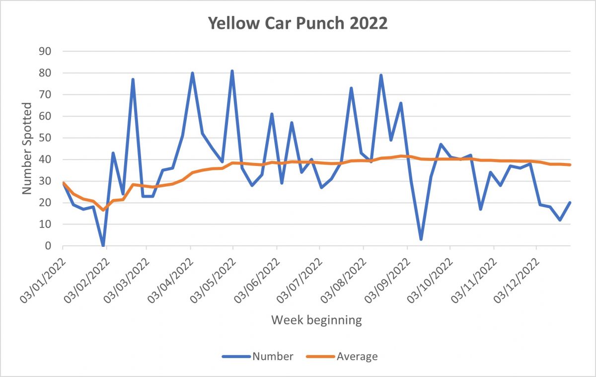 Yellow Cars in 2022